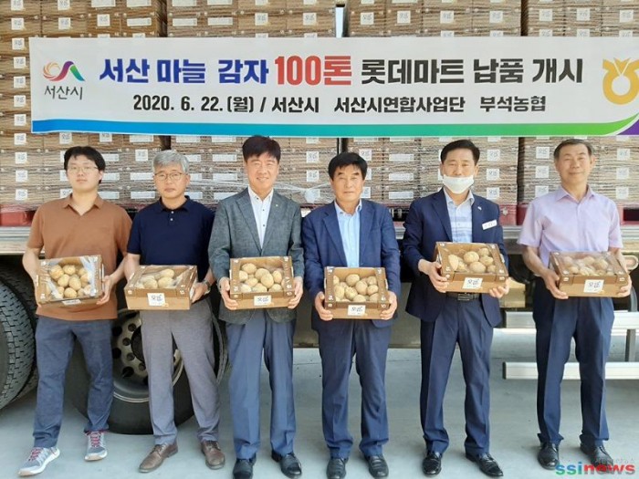 (서산)0624 서산 마늘감자 100톤, 29일까지 전국 120개 롯데마트에서 판매 1.jpg